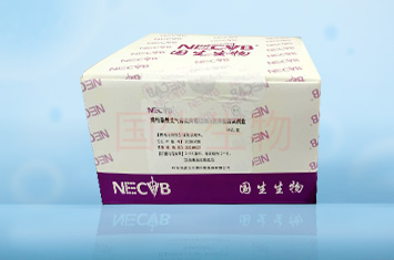 雞傳染性支氣管炎病病毒ELISA抗體(tǐ)檢測試劑盒